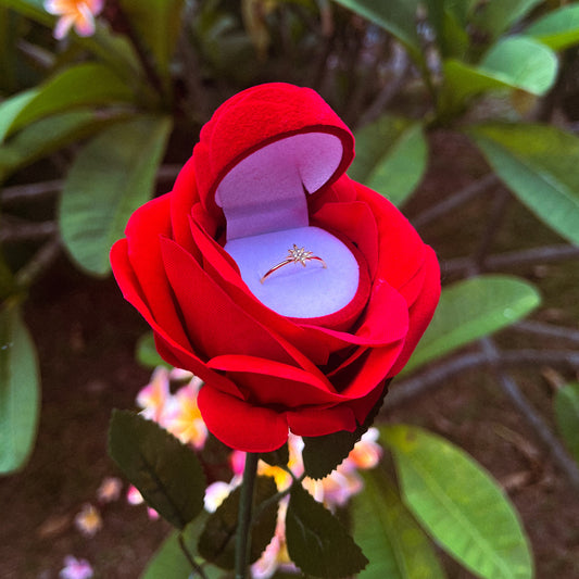 Rose rouge éternelle avec bague