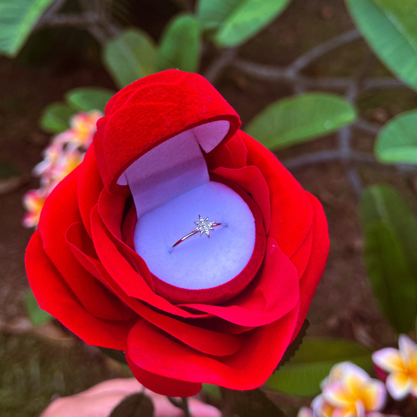 Rose rouge éternelle avec bague